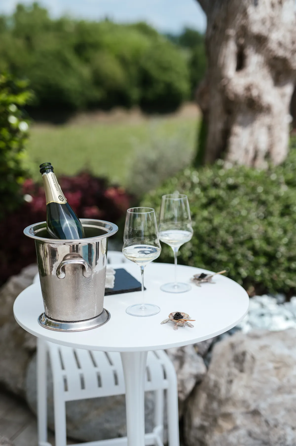 Una bottiglia al fresco e i calici pronti per un brindisi in giardino